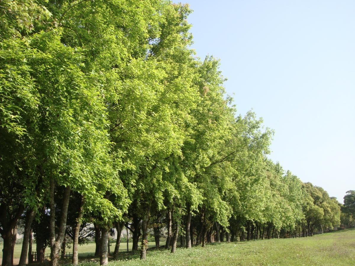 Tsou Ma Lai Farm Hotel Tainan Zewnętrze zdjęcie