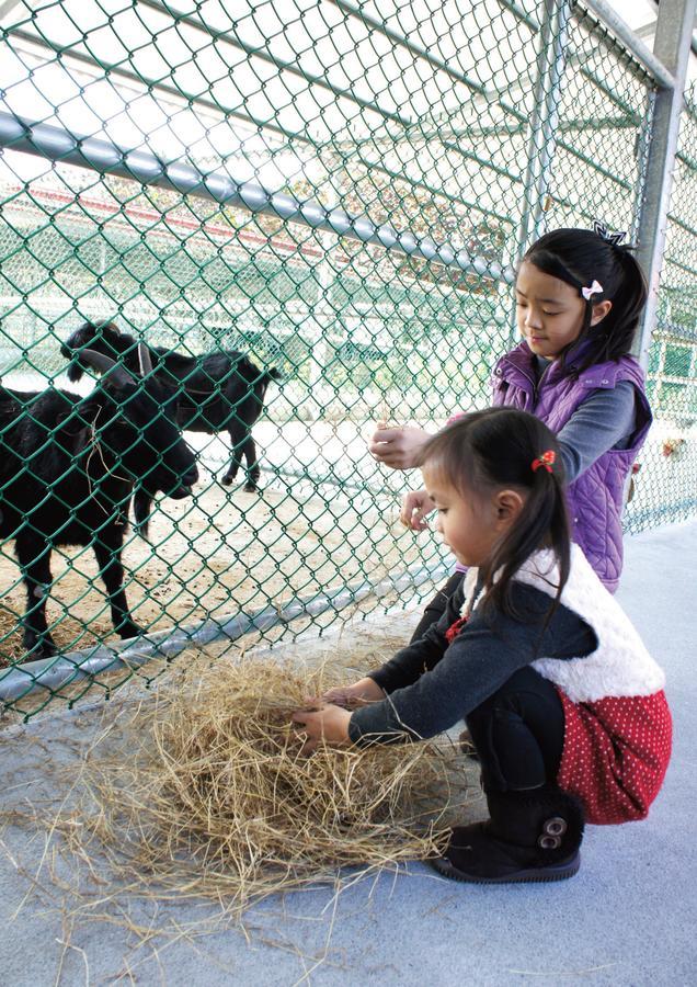 Tsou Ma Lai Farm Hotel Tainan Zewnętrze zdjęcie
